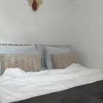 Linden Tree * Kamnik