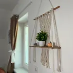 Linden Tree * Kamnik