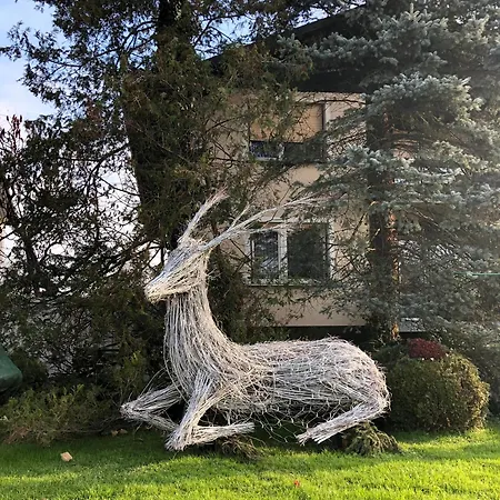 Appartamento Linden Tree Kamnik