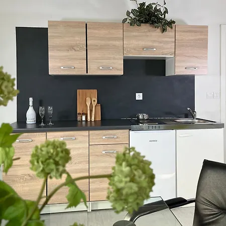 Linden Tree Appartement Kamnik