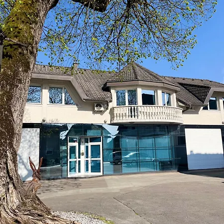 Linden Tree קמניק