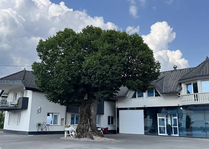 Linden Tree דירה קמניק