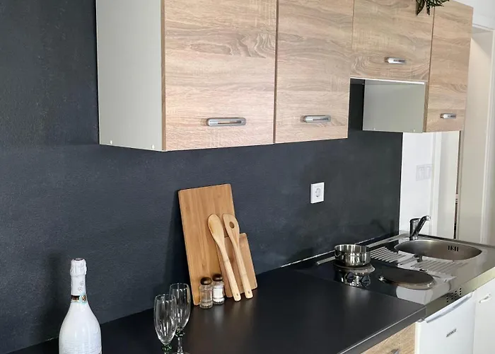 Linden Tree דירה קמניק