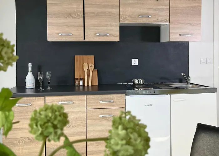 Linden Tree Apartamento Kamnik