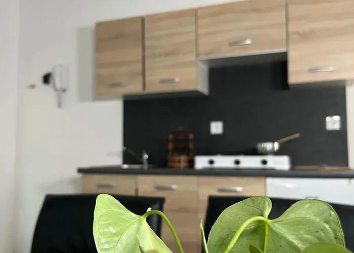 Apartamento Linden Tree Kamnik