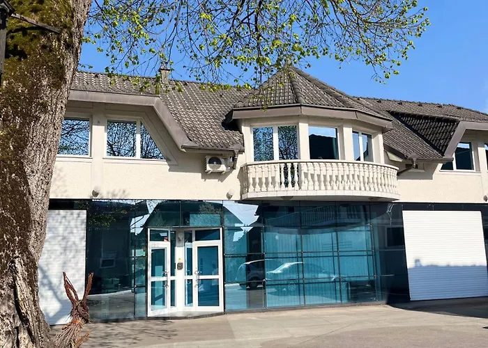 Linden Tree קמניק